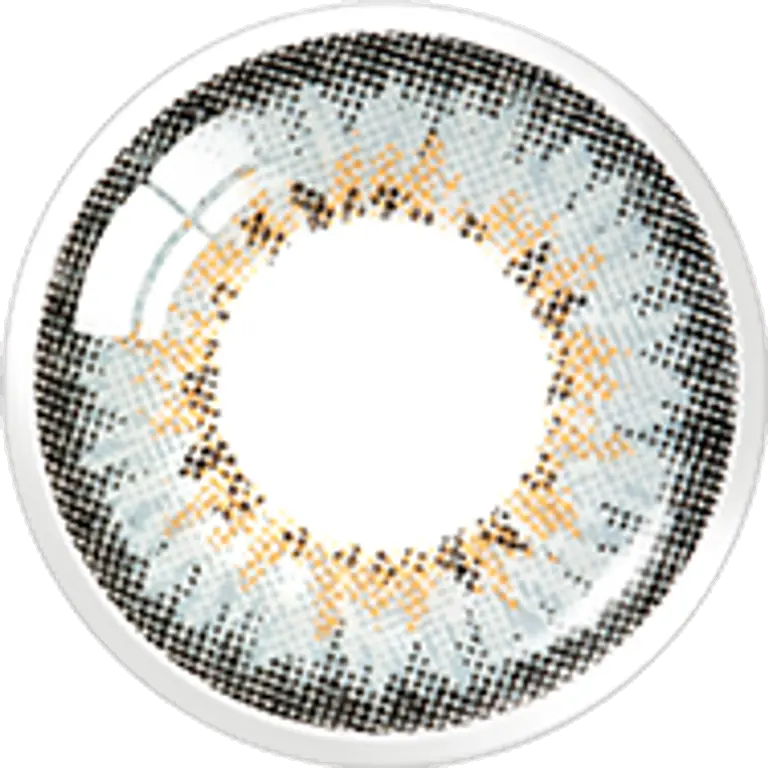 프렌치3콘 그레이